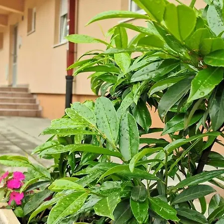 Appartamento Mejdan Banja Luka